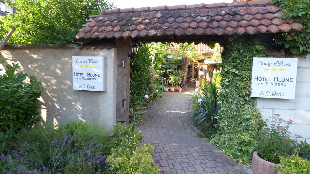 Hotel Blume Freiburg Bagian luar foto